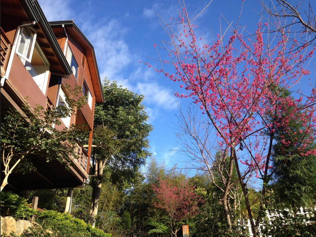 Walk Cloud Bed And Breakfast Meishan Exterior foto